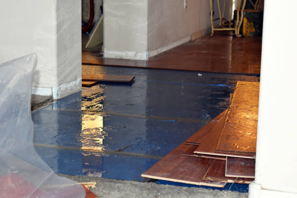 Professional Water Damage Restoration technician working in Ashley, OH