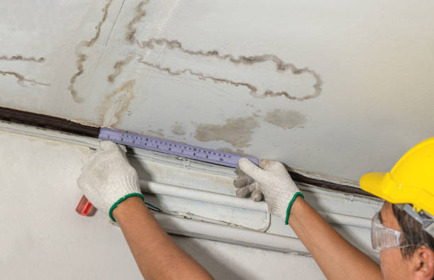 Reliable Water Damage Restoration contractor in Ashley, OH by Water Damage Irwin